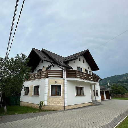Hotel Casa Dacului Petrova Zewnętrze zdjęcie