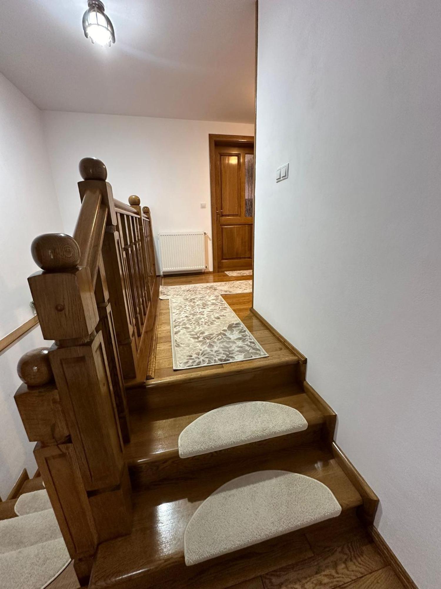 Hotel Casa Dacului Petrova Zewnętrze zdjęcie