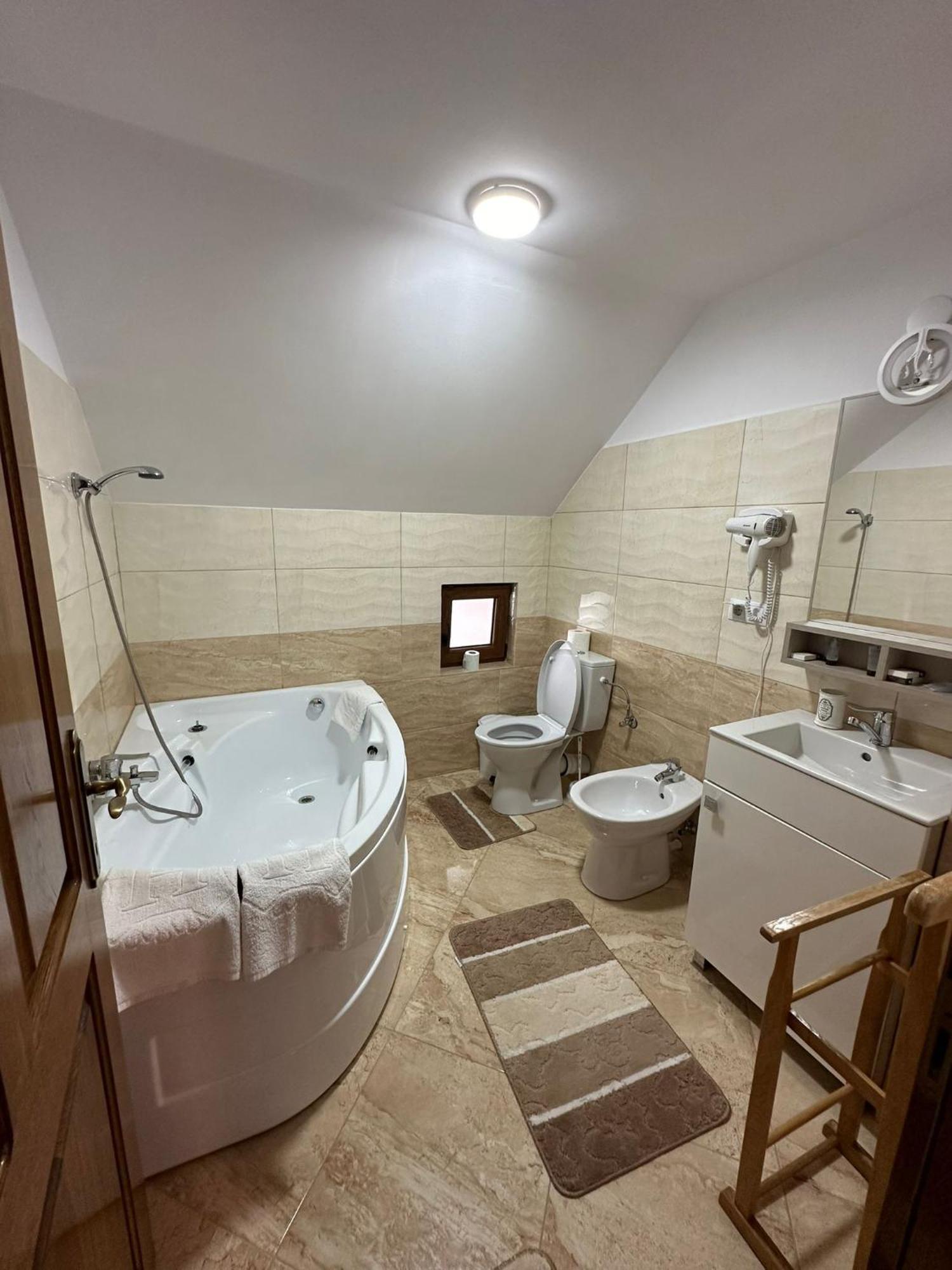 Hotel Casa Dacului Petrova Zewnętrze zdjęcie