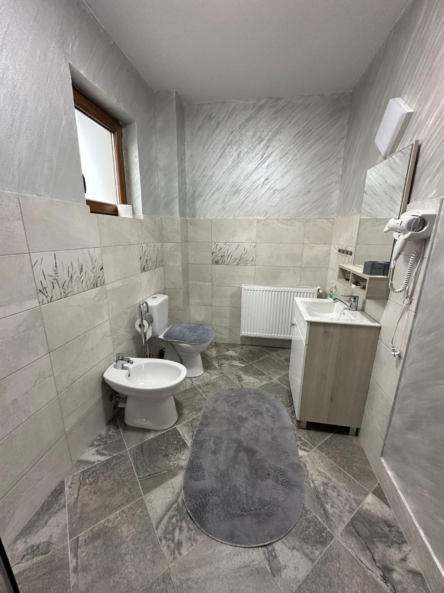 Hotel Casa Dacului Petrova Zewnętrze zdjęcie
